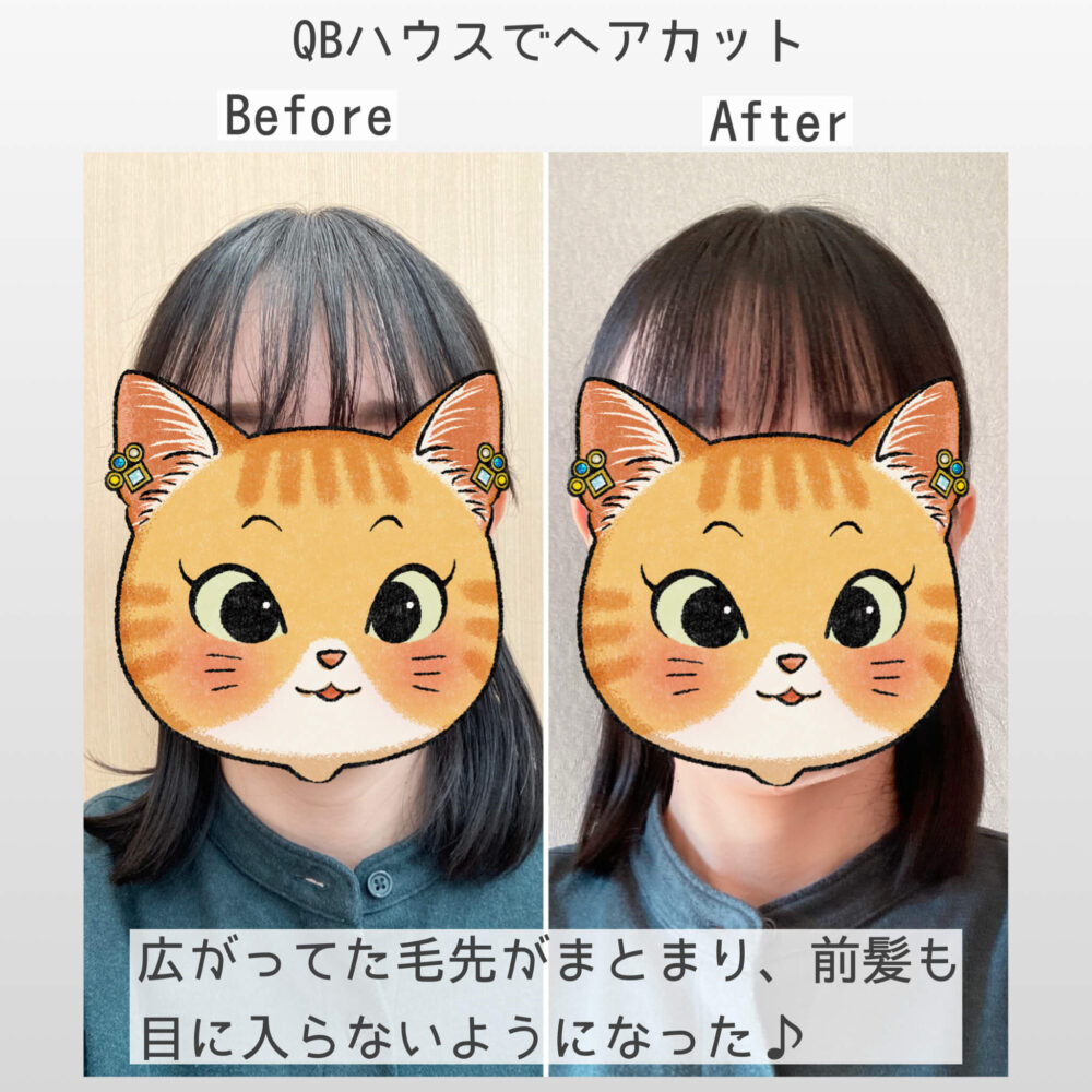 QBハウスでヘアカットまろのビフォーアフター